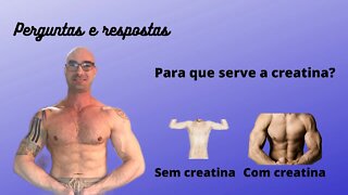 Perguntas e respostas: Para que serve a Creatina