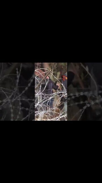 Мигранты пытаются пересечь государственную границу Польши