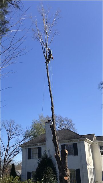 Southern Solar Structures and Windy Solar Capital prep a yard for a solar pergola to come in Feb2023