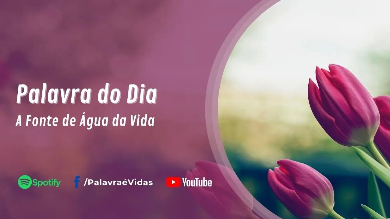 Palavra da Tarde Abençoada - A Fonte de Água da Vida