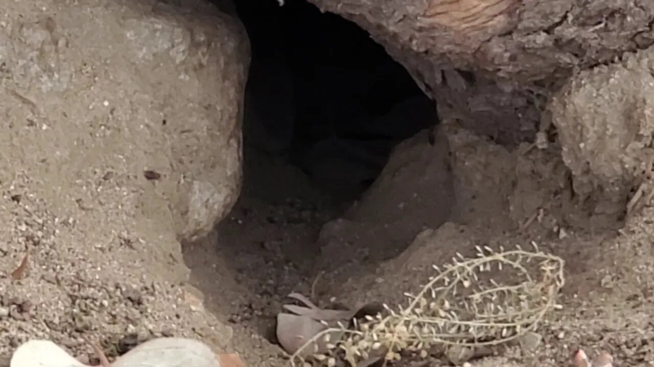 FONTANA CALIFORNIA UNITED STATES OF AMERICA