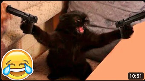 New Funny Animals 😂 Funniest Cats and Dogs Videos 😺🐶