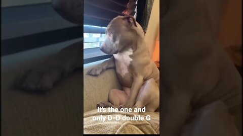 MEME is the one and only D-O double G #shorts