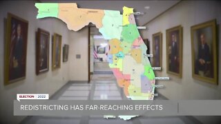 Looking at Florida's new congressional map ahead of the midterm election.