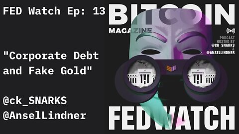 FED Watch - "Corporate Debt and Fake Gold"- FED 13