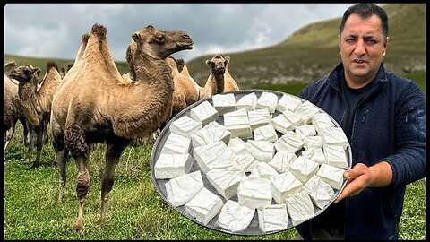 cheeze made from Camel milk wilderness cooking#food.