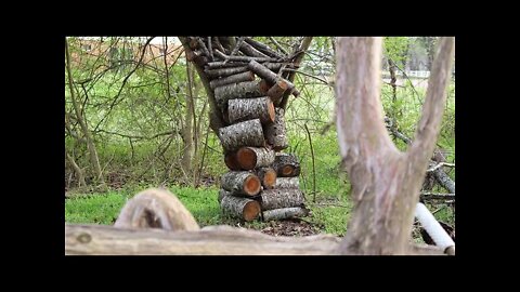 Creative way to stack wood