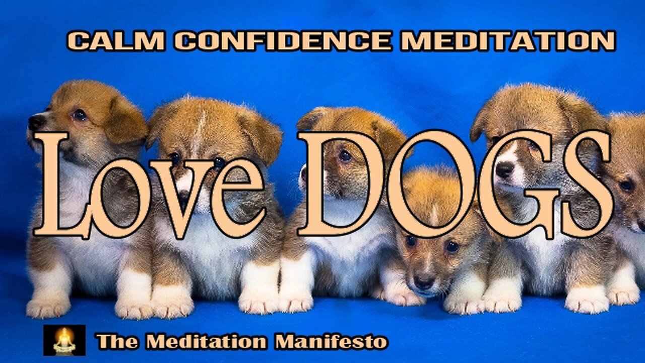 FEAR of DOGS | Meditation | Relaxing | Confidence | Subliminal Affirmation | Stress Relief #letsfly