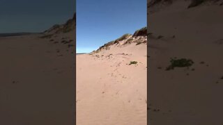 Walking on an Island on a Beach