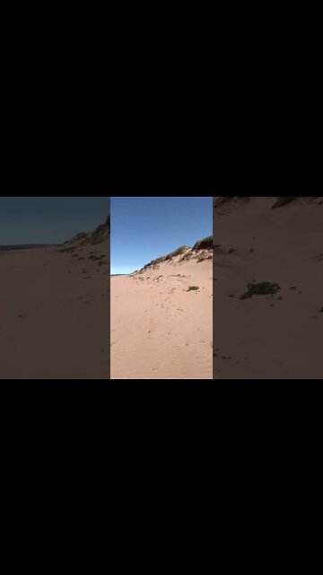 Walking on an Island on a Beach