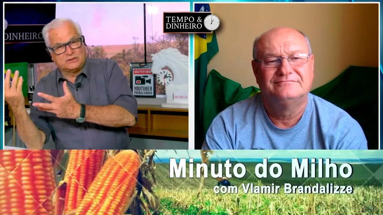 Milho com plantio acelerado