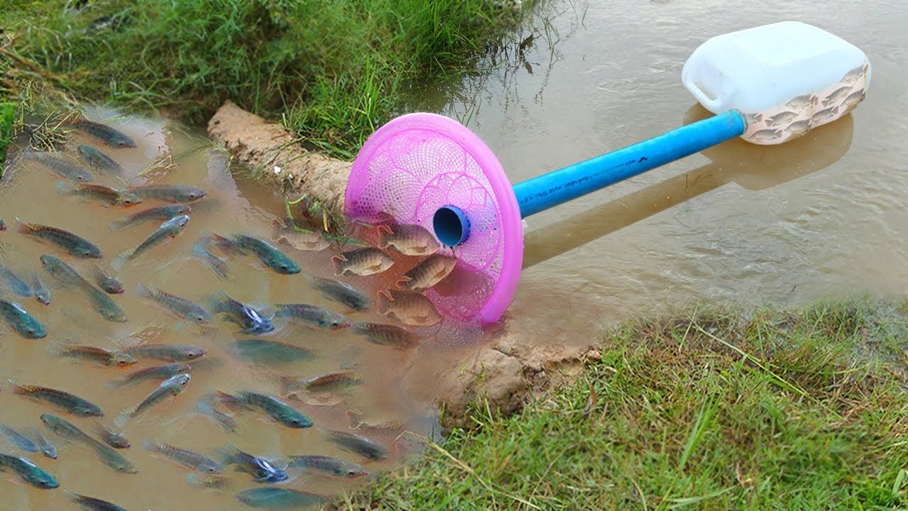 Build Fish Trapping System Make From Long PVC Pipe & Plastic Bottle