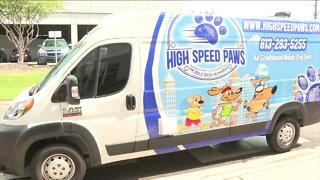 Mobile dog gym rolls into Tampa Bay