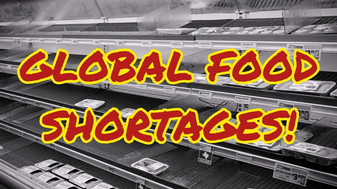 Global Food Shortages! What Does It Lead To?