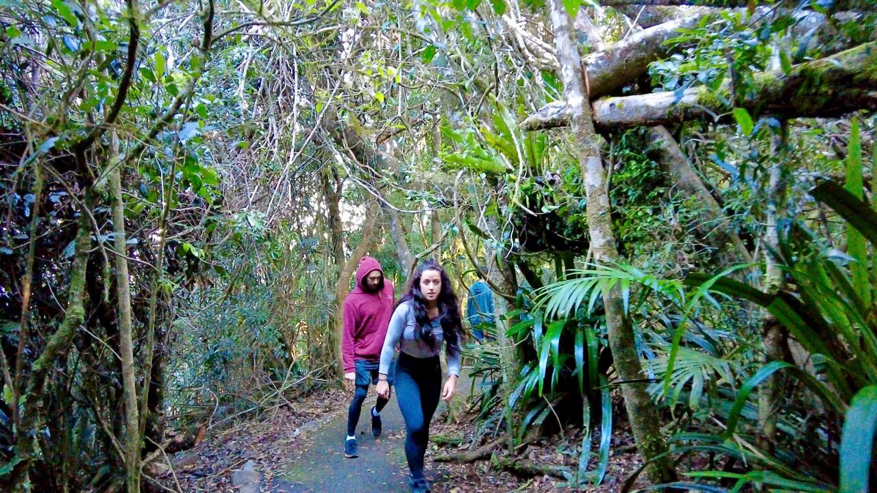 SPRINGBROOK MOUNTAIN - AUSTRALIA | The Best of All Lookouts