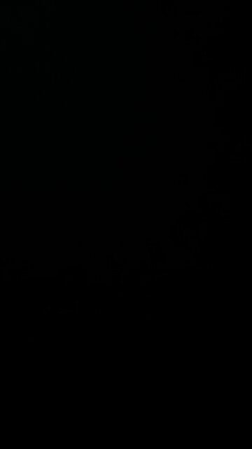 Elementary school transgenderism