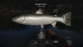 Russian Fishing 4 Kuori lake Lake Trout 3.87 Kg
