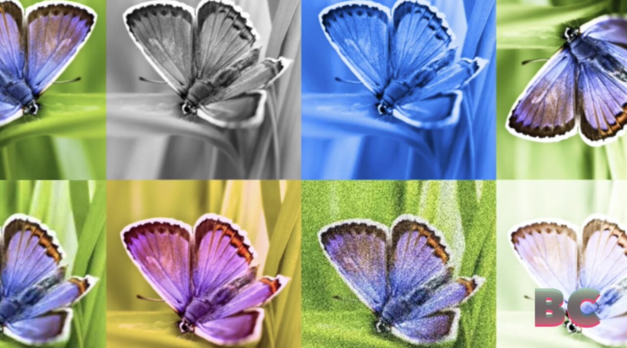 Google launches watermarks for AI-generated images