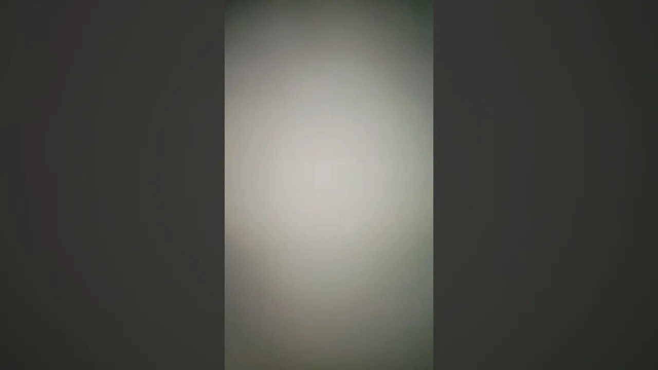 John Goodwill and Lonnie1Love