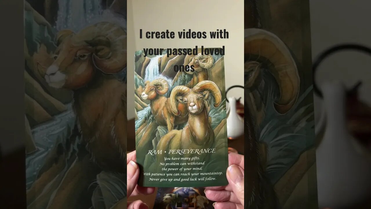 Animal Oracle card. I also create videos with your past loved ones. #love #spirit #medium￼ #family