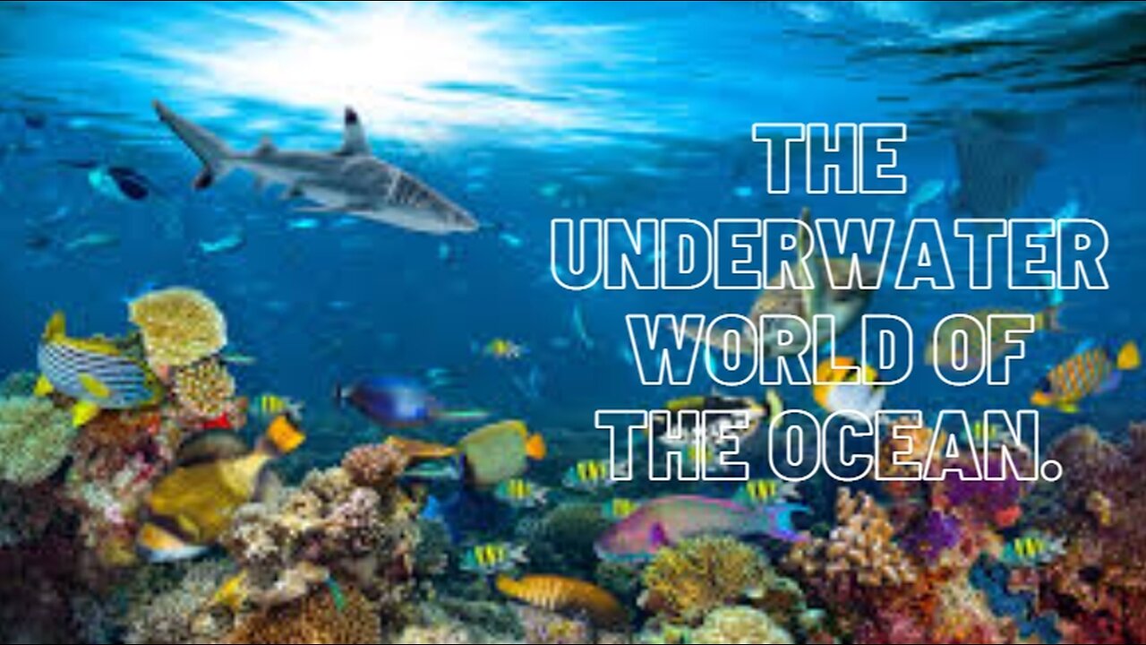 The underwater world of the ocean.