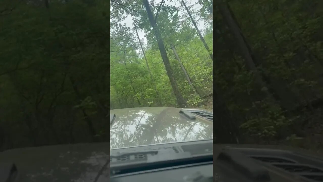 A 30 degree roll to avoid a tree at Barnwell mountain. #jeep