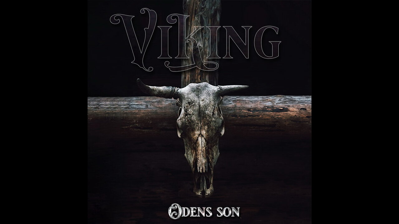 Viking - Freedom