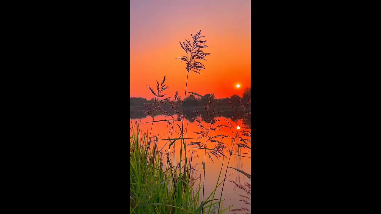 nature real video