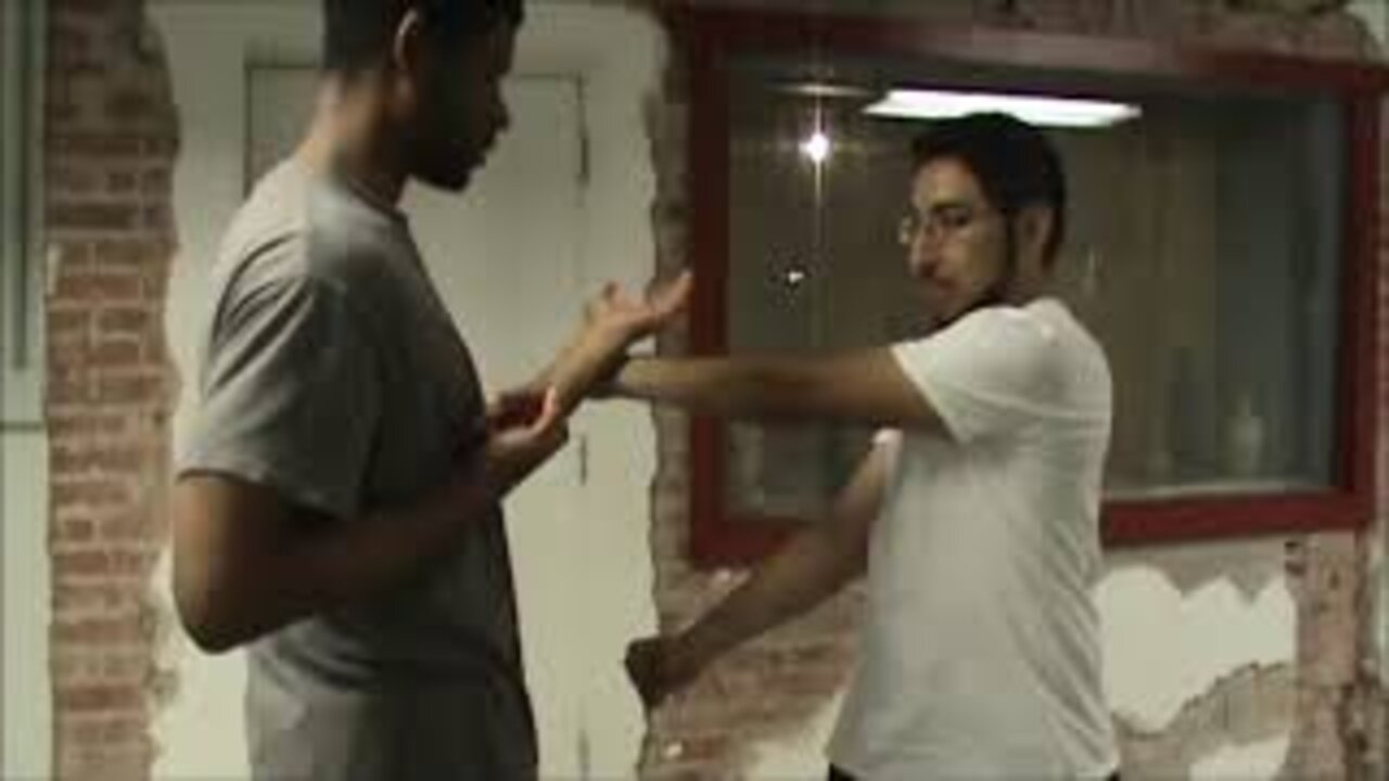 Taan Sau pairings Partner Drill - Wing Chun Basics