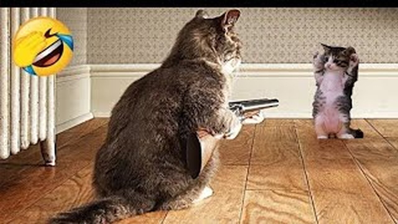 World Best Funniest🤣Cat vs animal vs Kid 🤼‍♂️ Entertainment Don't Try Laughing 🤣 2024 clips 🫡