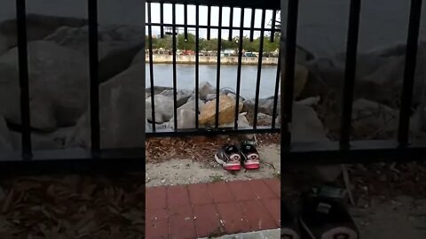 May 19, 2022 Black vehicle #gangstalker now gone