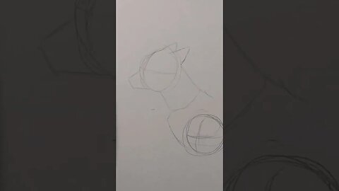 Sketching A Wolf's Body ! Sub for part 2!!! #art