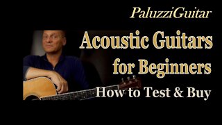 How to Buy Acoustic Guitars for Beginners [Tips Test Compare]