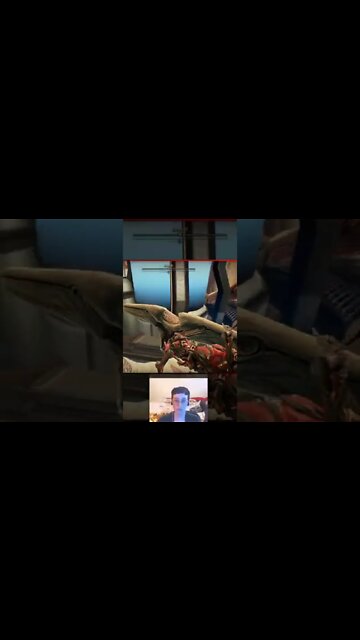 Warframe Ride It, Cowboy!