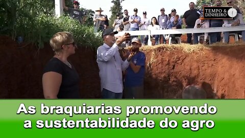 Ademir Calegari destaca as braquiarias para promover a sustentabilidade no agro