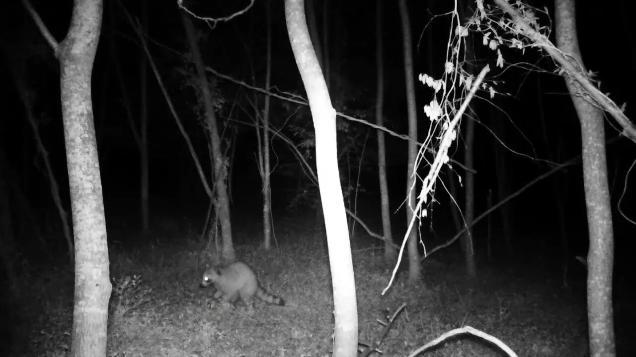 Peanut butter jar.....