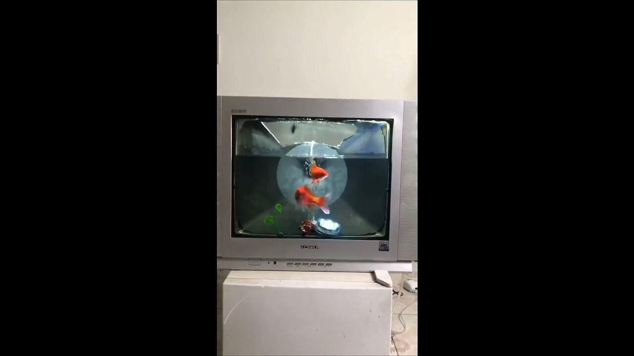 Turning a TV into an Aquarium