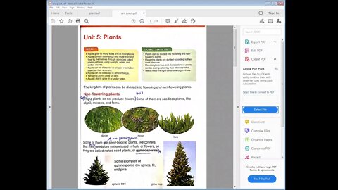 science class 5 19 01 2021