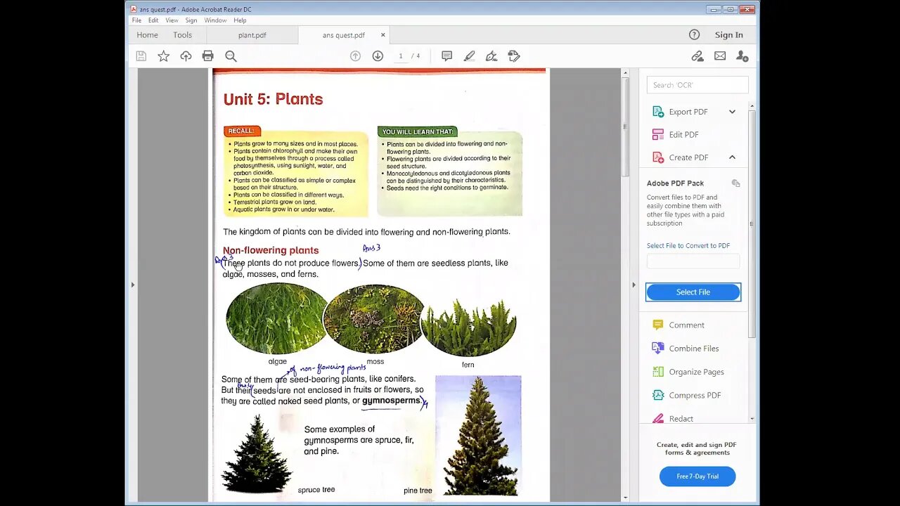 science class 5 19 01 2021