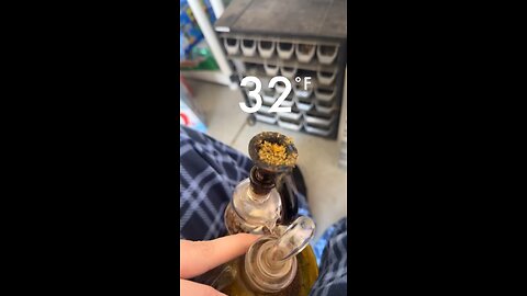 Day 67 It’s hot enough to wear shorts I think lol