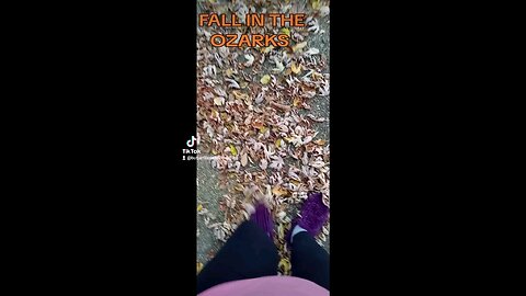 Fall time