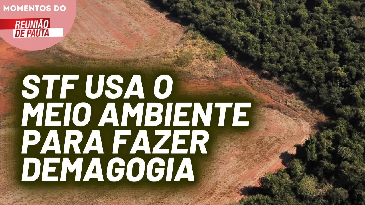 Decreto ambiental de Bolsonaro é derrubado pelo STF | Momentos do Reunião de Pauta