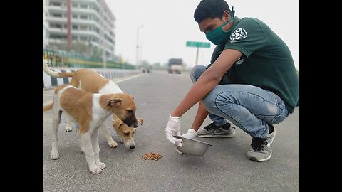 A man testing the loyalty of his dog || Dog 🐶🐕 Lovers