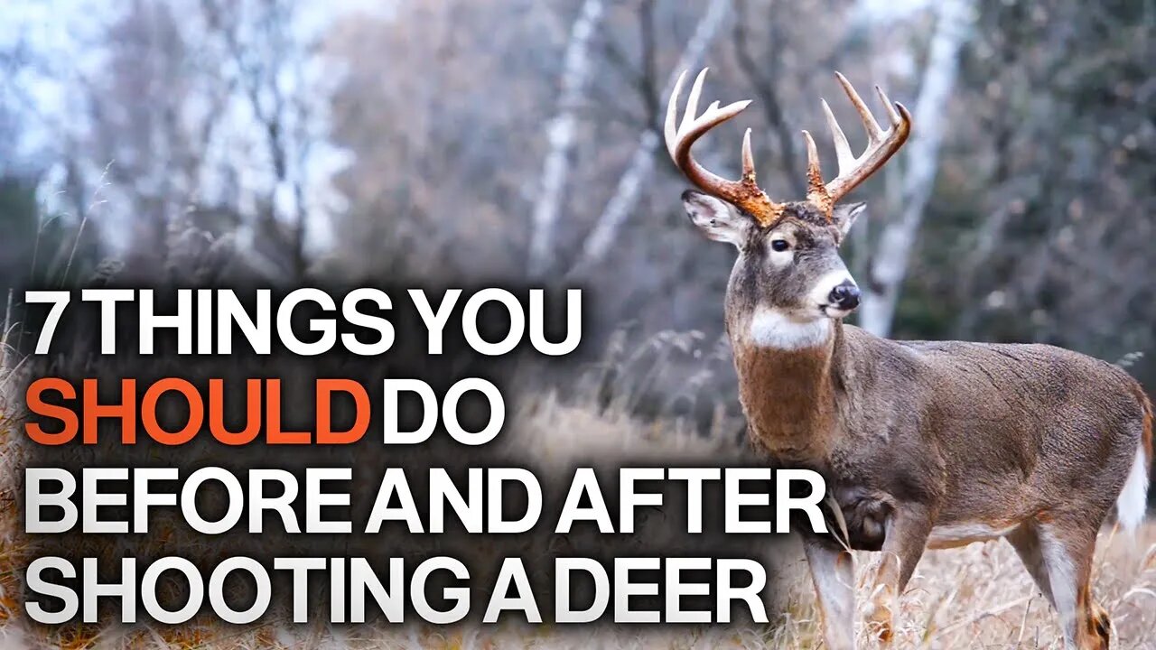 7 Things to Do Before and After You Shoot a Deer