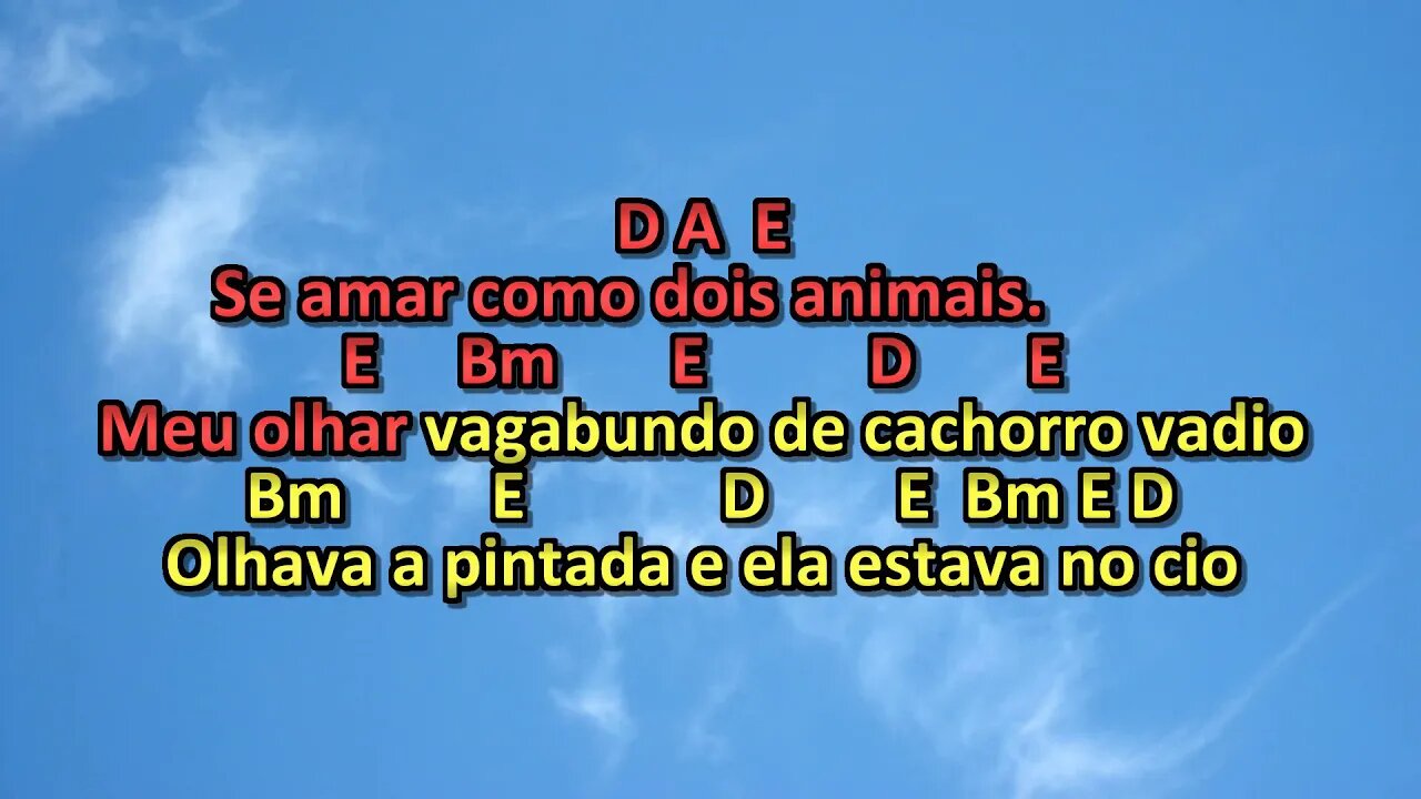 alceu valença como dois animais karaoke playback 2