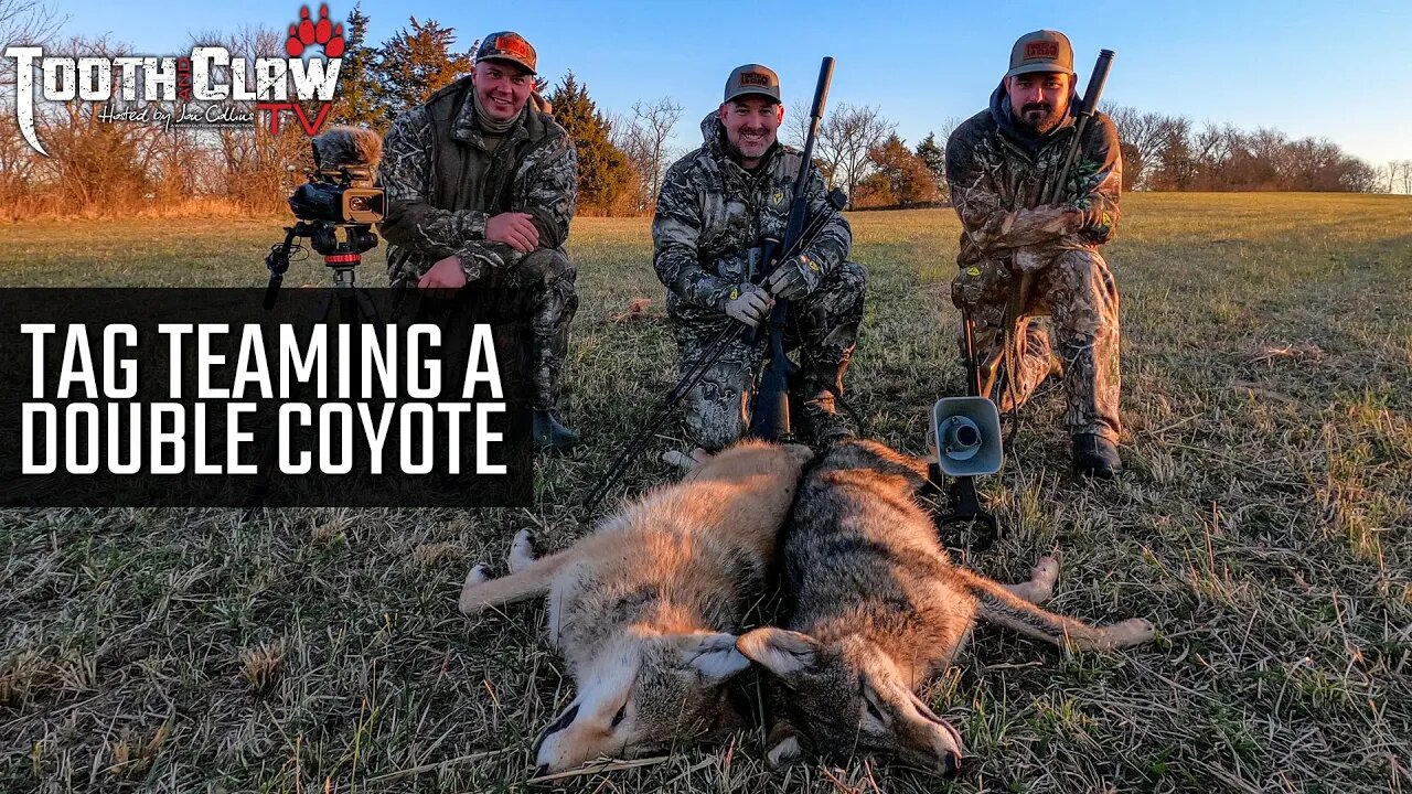 Tag Teaming a Coyote Double - Coyote Hunting