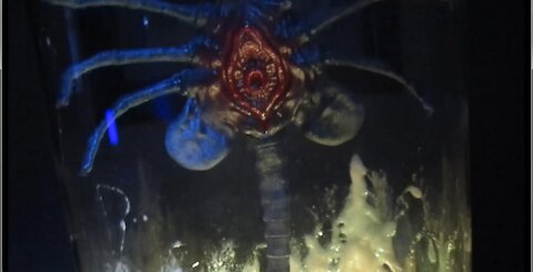 Alien Facehugger in Cryogenic Transport Capsule Enclosure Theater Room Light