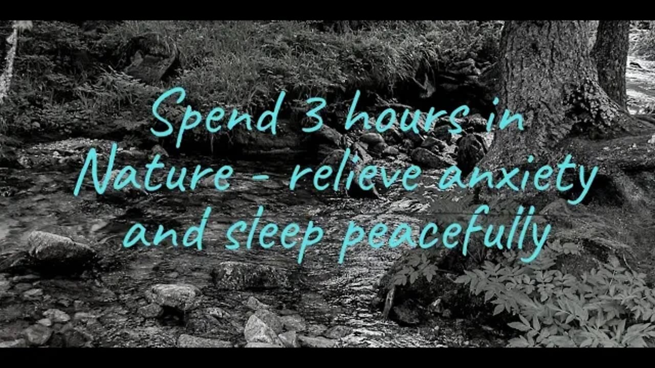 Spend 3 hours in Nature Relieve Anxiety, Meditate, or sleep peacefully