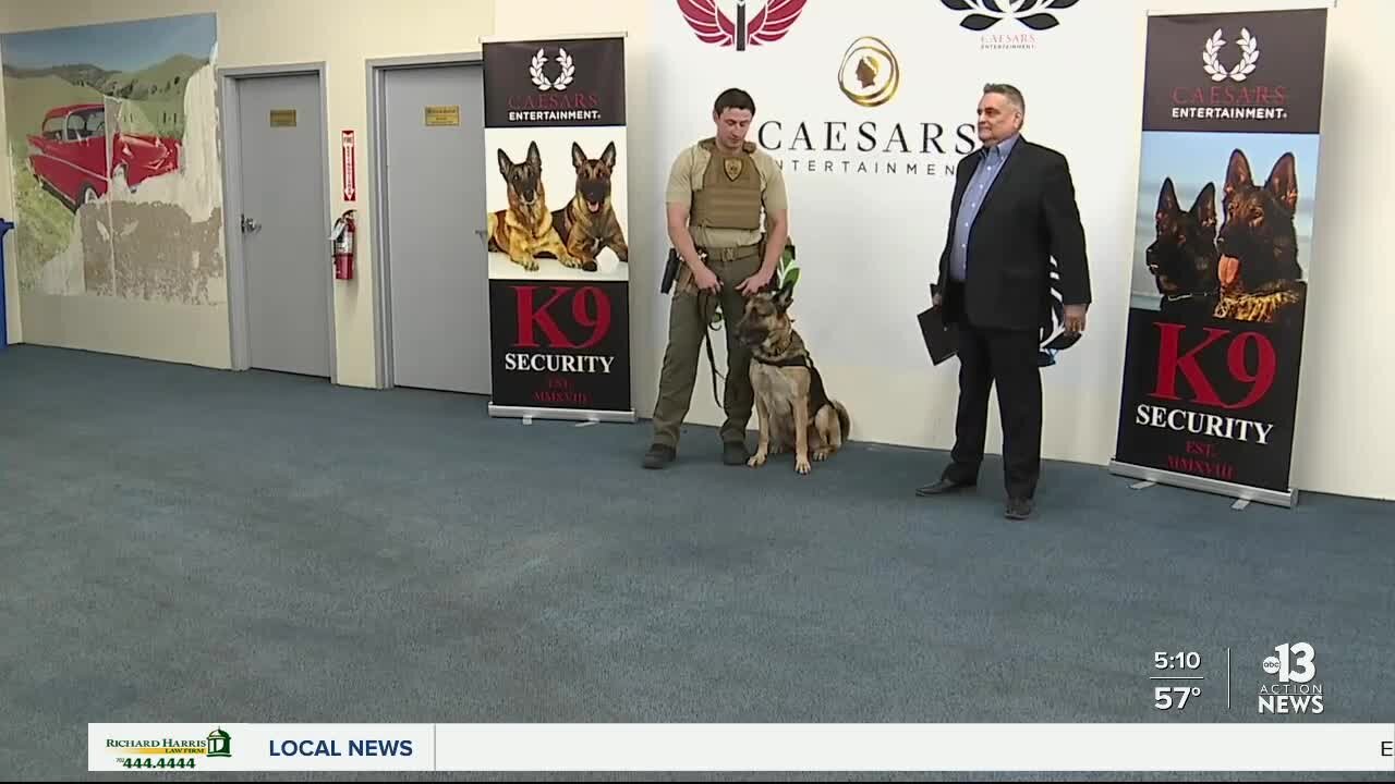 Caesars introduces dog that can sniff out firearms