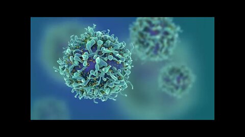 Cancer vanishes from every patient’s body in drug trial